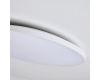 Настенно-потолочный светильник Lightstar Arco Eco 225741
