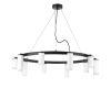 Подвесная люстра Lightstar Rullo (571020+214436-5+214486-5+202430-10) LR0203658650