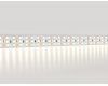 Светодиодная лента трехрядная Ambrella Light LED Strip 24В 2835 26Вт/м 4500K 5м IP20 GS3902
