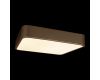 Потолочный светильник Loft IT Flims 10228/C