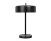 Настольная лампа Arte Lamp Skat A7052LT-2BK