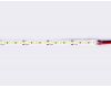 Светодиодная лента Ambrella Light Led Strip 12V Illumination 2835 14,4Вт/м 6500K 5м IP20 GS1313