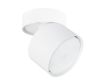 Накладной спот Arte Lamp Intercrus A5549PL-1WH