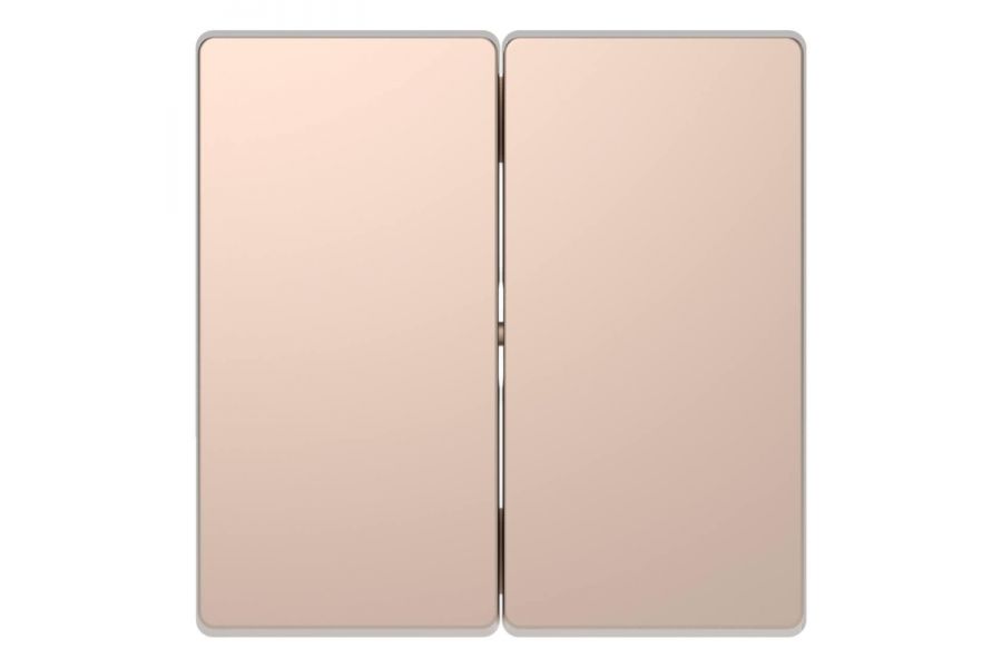 Клавиша двойная Schneider Electric Merten D-Life MTN3400-6051