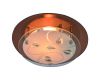 Потолочный светильник Arte Lamp A4043PL-1CC