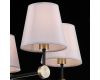 Люстра на штанге Illumico IL0394-5CSQ-24 BK AB CASTOR