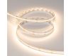 Светодиодная лента Arlight RT-A240-10mm 24V Warm3000 (22 W/m, IP20, 5m) (высок.эфф.150 лм/Вт) 038745(1)
