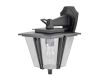 Уличный настенный светильник Citilux Forts CLU10W