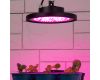 Фитопрожектор для растений Эра FITO-50W-RB-LED-UFO Б0053280