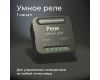 Умное одноканальное реле Elektrostandard 4690389185069 a059324