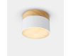 Потолочный светильник ImperiumLoft Wood 141161-26