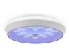 Потолочный светильник Freya Cells FR10012CL-L24W