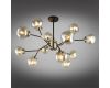 Люстра на штанге Omnilux Crotone OML-95107-12