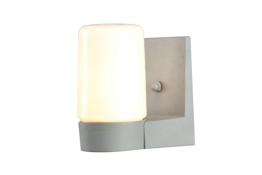 Уличный настенный светильник Arte Lamp Spasso A8058AL-1GY