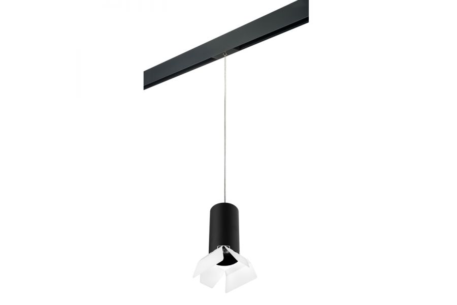 Трековый светильник Lightstar Rullo PRORP6487486 (216487+595887+202486)