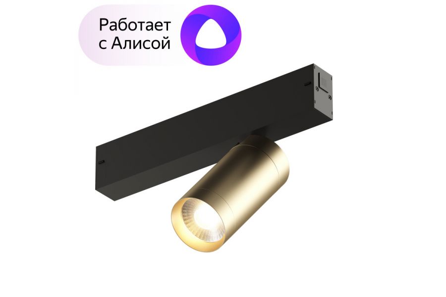 Трековый светильник Denkirs Smart DK8010-BG