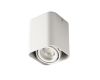 Потолочный светильник Kanlux Toleo DTL50-W 26114