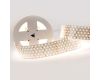 Светодиодная лента Arlight RT-A350-58mm 24V White6000 (36 W/m, IP20, 2835, 2.5m) 019082(2)
