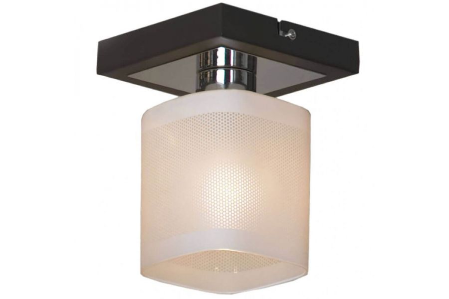 Потолочный светильник Lussole Costanzo LSL-9007-01