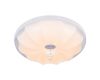 Потолочный светодиодный светильник Escada 10231/S LED