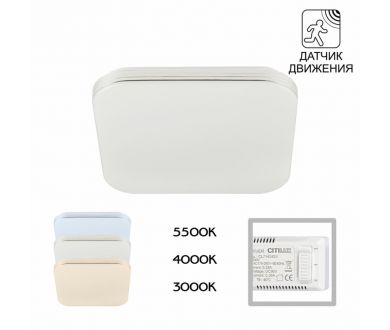 Потолочный светильник Citilux Симпла CL714K24SV