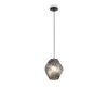 Подвесной светильник Freya Shiny FR5547PL-01SM