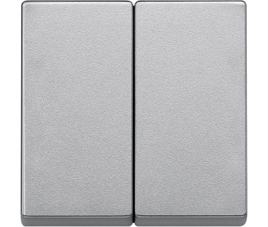 Клавиша двойная Schneider Electric Merten System M MTN433560