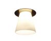 Потолочный светильник Arte Lamp Cool Ice A8550PL-1AB