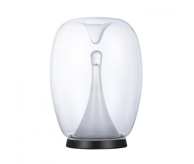 Настольная лампа Divinare Campo 5875/09 TL-15