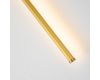 Настенный светильник Favourite Reed 3001-3W
