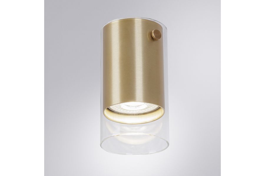 Накладной светильник Arte Lamp Lazio A5365PL-1SG