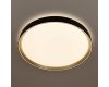 Потолочный светильник Citilux Boss CL751451G