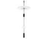 Подвесной светильник Loft IT Flamingo 10598C