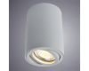 Потолочный светильник Arte Lamp A1560PL-1GY