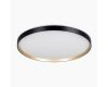 Потолочный светильник Citilux Etalon CL750501R