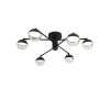 Потолочный светильник Escada Diverse 10271/6LED Black