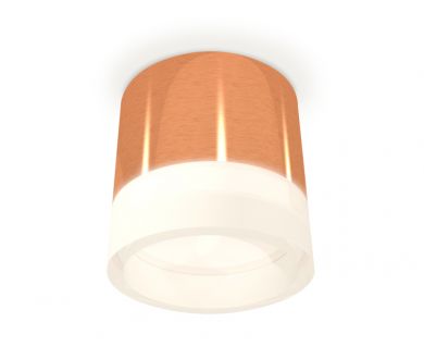 Купить Потолочный светильник Ambrella Light Techno Spot XS8122010 (C8122, N8401) Потолочный светильник Ambrella Light Techno Spot XS8122010 (C8122, N8401)