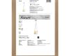 Подвесной светильник Freya Aurum FR5471PL-L12W