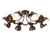 Потолочная люстра Arte Lamp Martin A5216PL-8BR