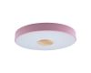 Потолочный светильник Loft IT AXEL 10003/24 Pink