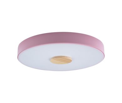 Потолочный светильник Loft IT AXEL 10003/24 Pink