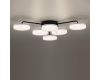 Потолочная люстра Lumion Didana 8236/6CL