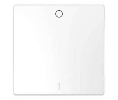 Клавиша одинарная Schneider Electric Merten D-Life MTN3301-6035