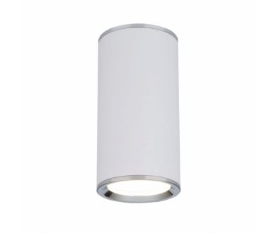 Потолочный светильник Elektrostandard DLN101 GU10 WH белый 4690389135859