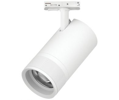 Трековый светильник для однофазного/трехфазного шинопровода Barra 20-55G с тонким адаптером Lightstar Canno Pro C4406SS