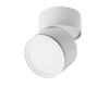 Накладной спот Lightstar Acuto 215886