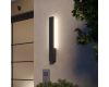 Уличный настенный светильник с переключателем цв. температуры Novotech Street Asa 359983