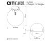 Потолочный светильник Citilux Orton CL202512