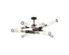 Люстра на штанге Freya Radiant FR5642PL-08B