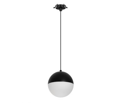 Подвесной светильник Arlight SP-EMISFERO-HANG-BUILT-R150-11W Day4000 (BK, 170 deg, 230V) 056591
